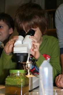 Osservazione al microscopio